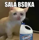 h2h_salabsdk