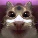 droolingcat4