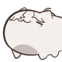 JingCatNod