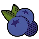 blueberries