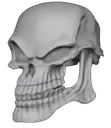goofyskull