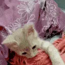 bedtime
