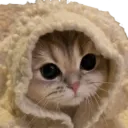 catcomfy catcomfy