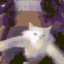 catdance catdance