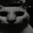 cursed cursed