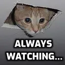 lurking