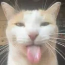 SillyBilly