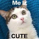 MeIzCute