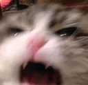 angry