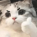 thumbs
