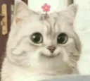 happiSpicy