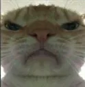 grump