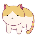 01chill_cat_cc