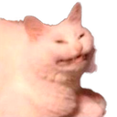 Kitty_angry Kitty_angry