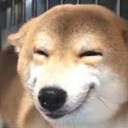 huehuehuehuehue huehuehuehuehue