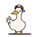 duck