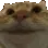 catyes