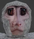 Sad_Cebus