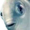 Flounder