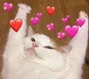 ghstretchlove