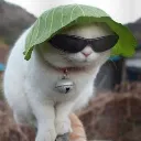 nyt_mujhekyamaitopatagobihu