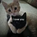 ily_cats Discord Emoji