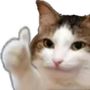 CatOkThumbsUp2 Discord Emoji