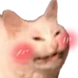 CatShyBlush1 Discord Emoji
