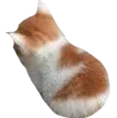 sadcat