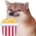 DogCheemsPopcorn11