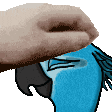 PetJewel Discord emoji