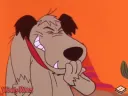 Dog_smirk_laugh
