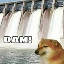 Dam Discord emoji