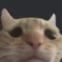 8_kitty_sad 8_kitty_sad