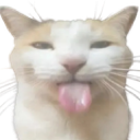 silly Discord emoji