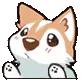 Grove_Dog_Puppy Grove_Dog_Puppy