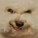 heheheh