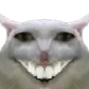 DD