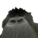 __