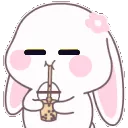 L_RabbieSip