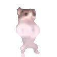 catPls