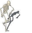 skeletonnaenae