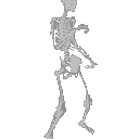 skeletonwerk