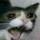 139