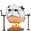 PoroRoast