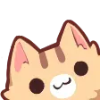 catpeak catpeak