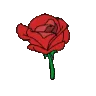heartzflower