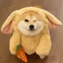 Wink