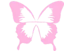 pinkbutterfly