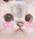 blushy2 blushy2